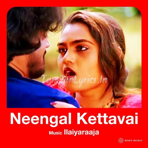 Neengal Kettavai